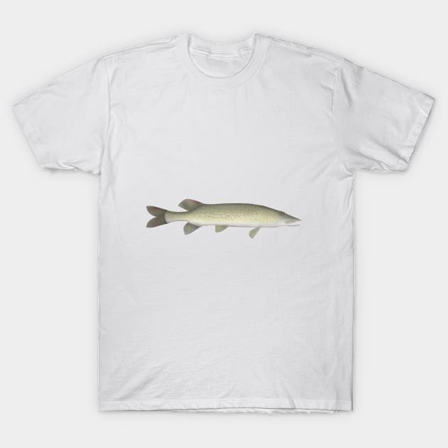 Chain Pickerel T-Shirt by FishFolkArt